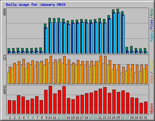 Daily usage for January 2019