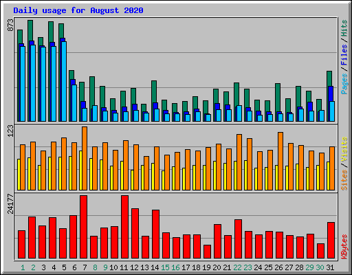 Daily usage for August 2020