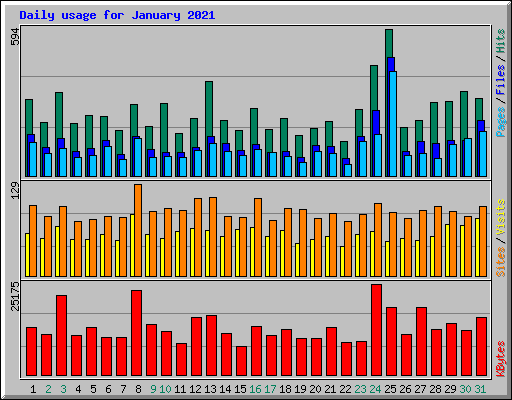 Daily usage for January 2021