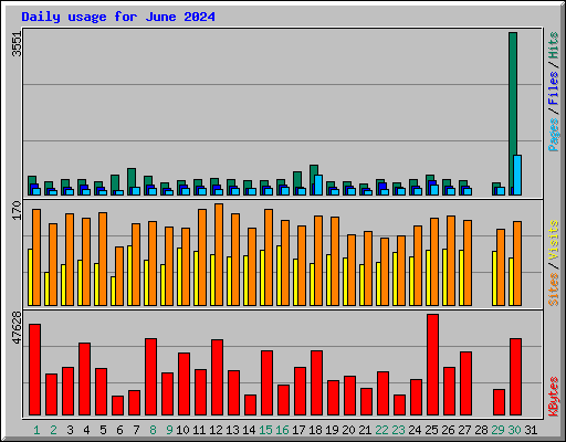 Daily usage for June 2024