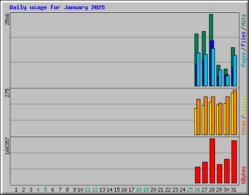 Daily usage for January 2025