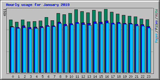 Hourly usage for January 2019