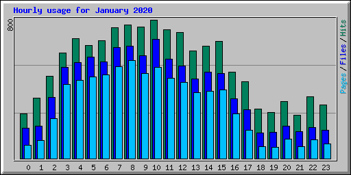 Hourly usage for January 2020