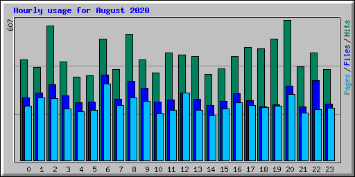 Hourly usage for August 2020