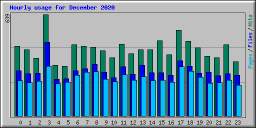 Hourly usage for December 2020