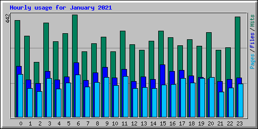 Hourly usage for January 2021