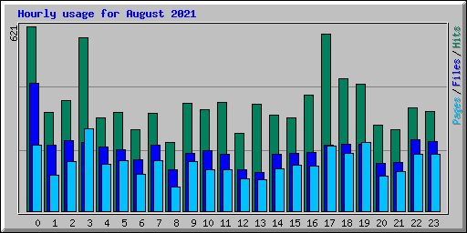 Hourly usage for August 2021