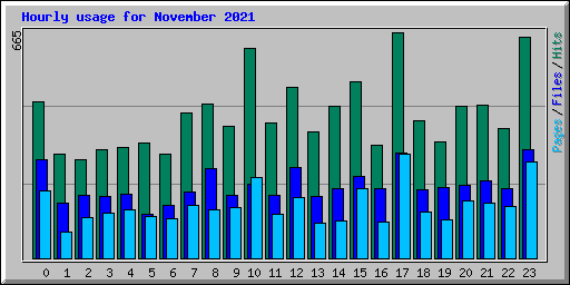 Hourly usage for November 2021