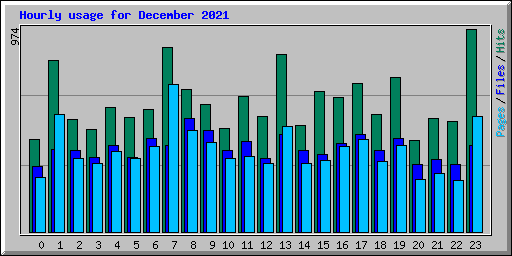 Hourly usage for December 2021