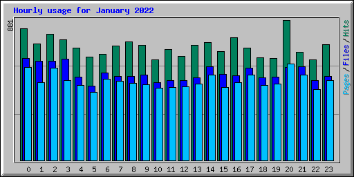 Hourly usage for January 2022