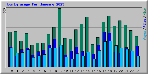 Hourly usage for January 2023