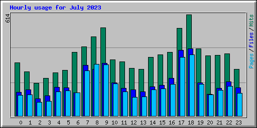 Hourly usage for July 2023