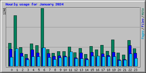 Hourly usage for January 2024