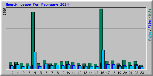 Hourly usage for February 2024