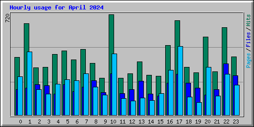 Hourly usage for April 2024