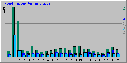 Hourly usage for June 2024