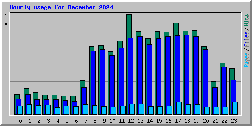 Hourly usage for December 2024