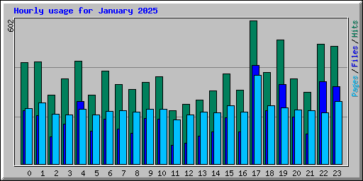 Hourly usage for January 2025