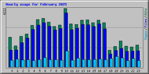 Hourly usage for February 2025