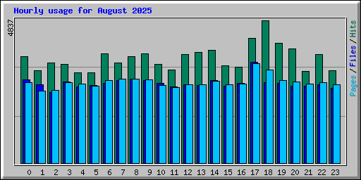 Hourly usage for August 2025