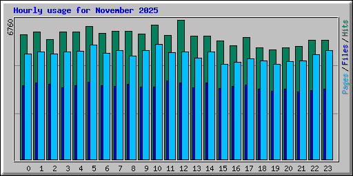 Hourly usage for November 2025