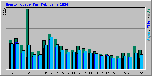 Hourly usage for February 2026