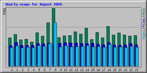 Hourly usage for August 2026